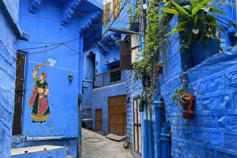 Jodhpur (Blue City) Walking Experience