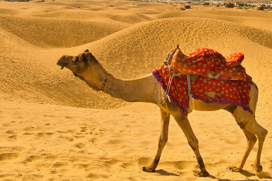 Rajasthan Desert Tour Package