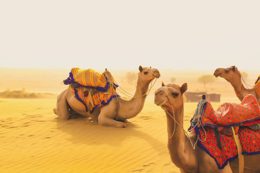 Golden Triangle Tour with Jaiselmer ( 07 nights / 08 days )