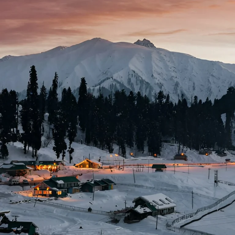 North india tour