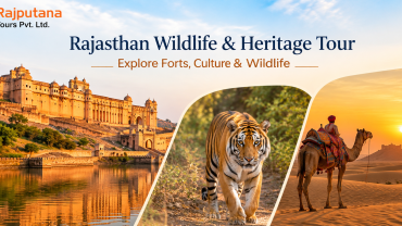 Rajasthan Wildlife & Heritage Tour